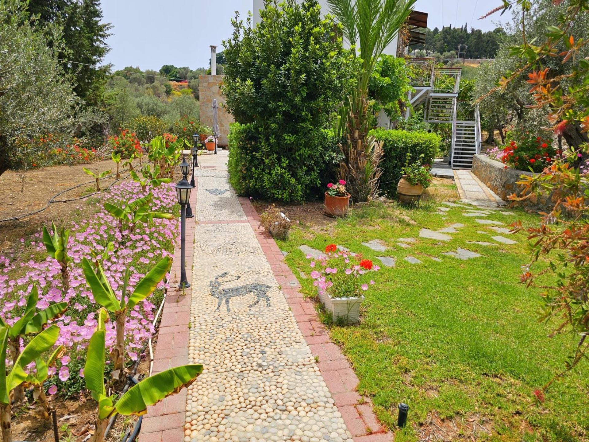 Galini View Apartments Lindos Exterior foto